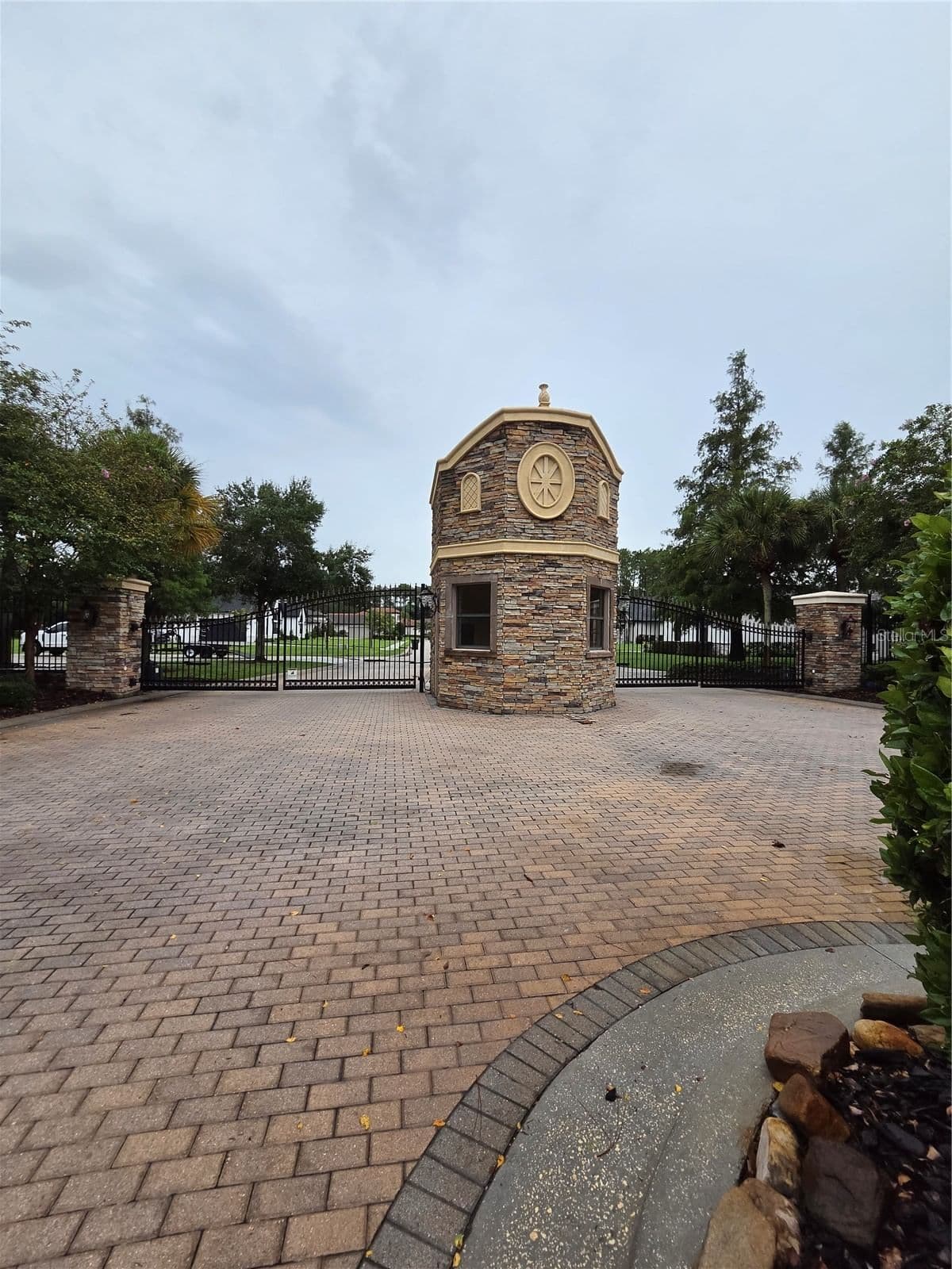 CYPRESS TRACE