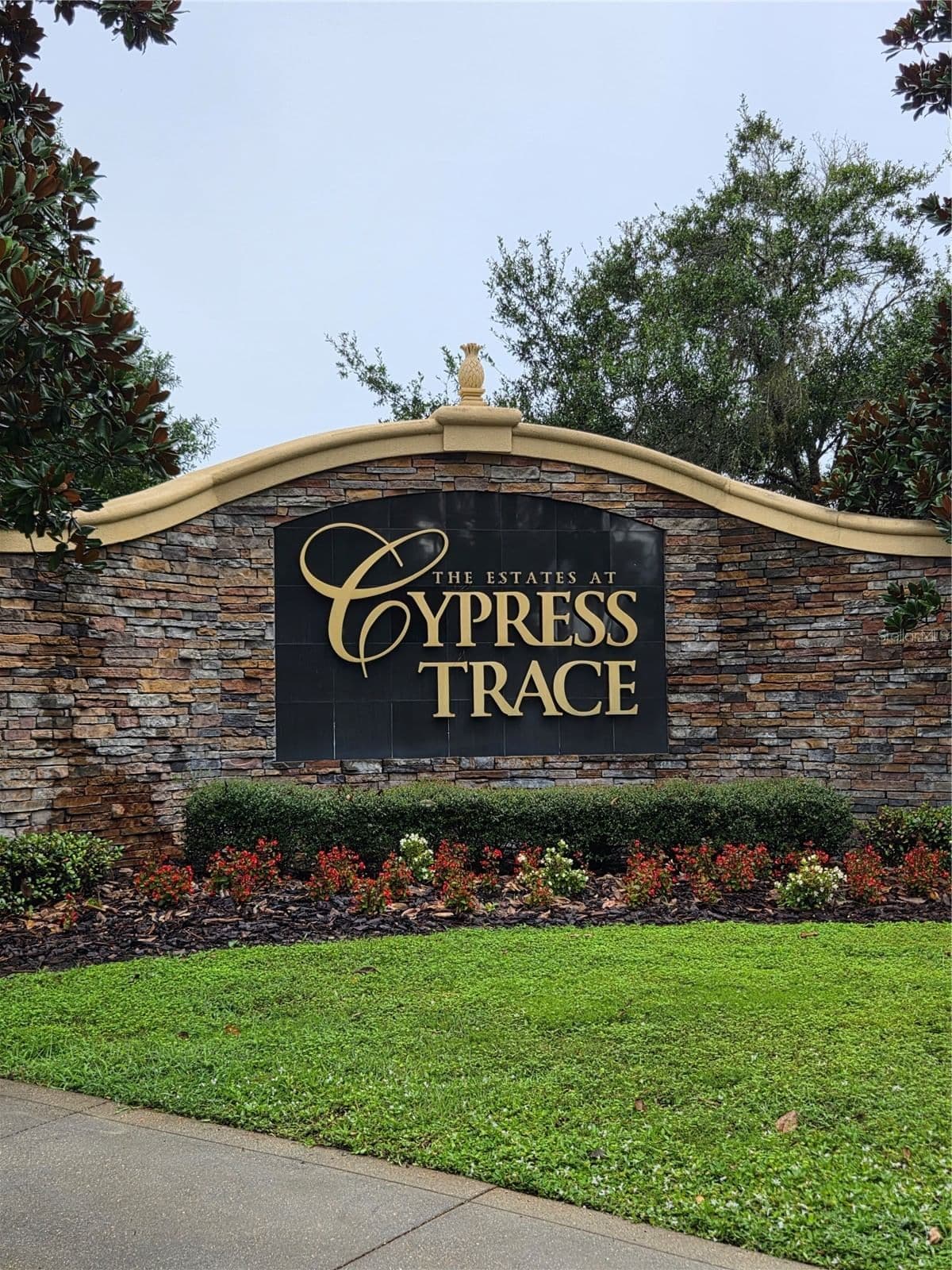 CYPRESS TRACE