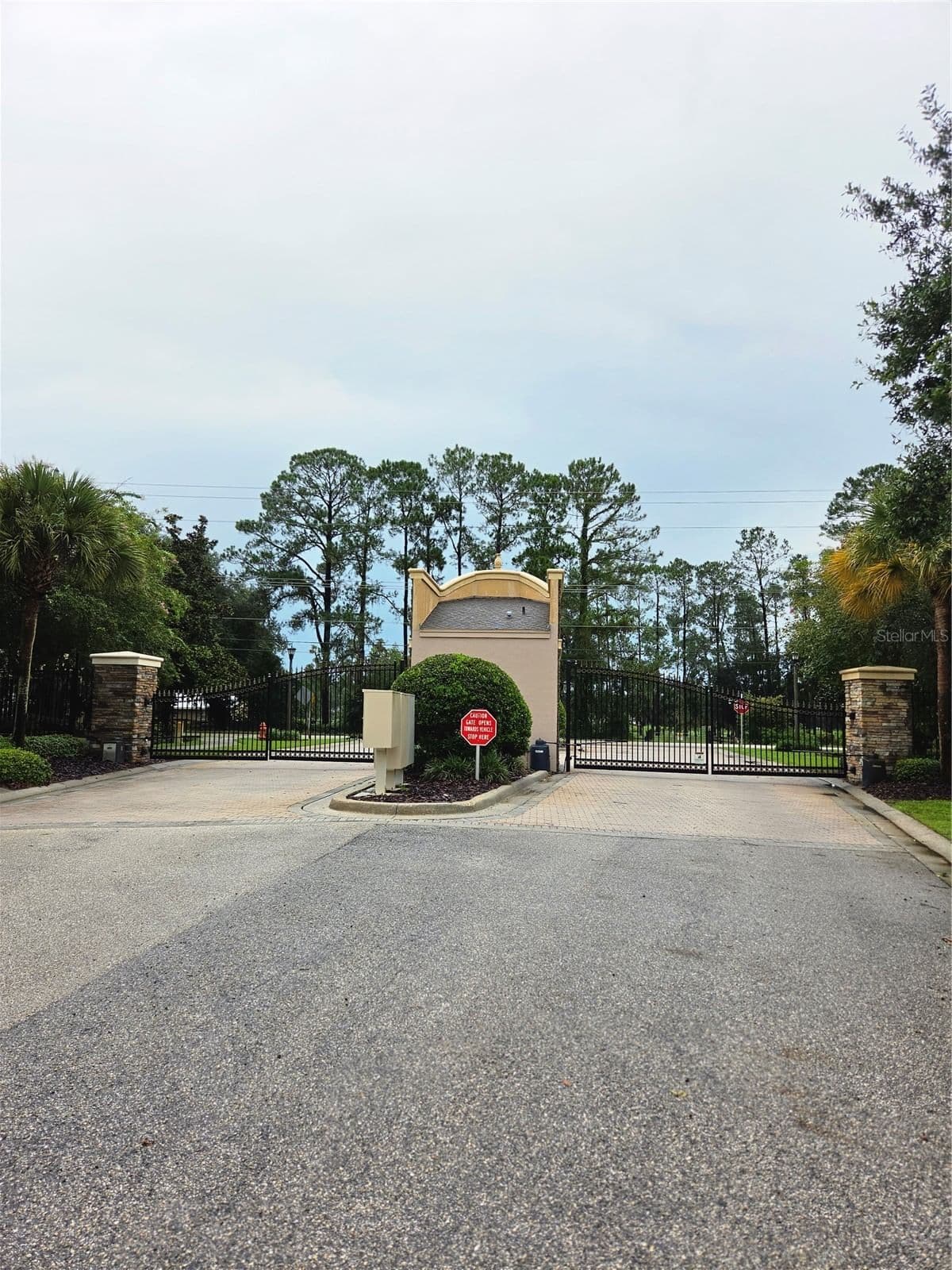 CYPRESS TRACE