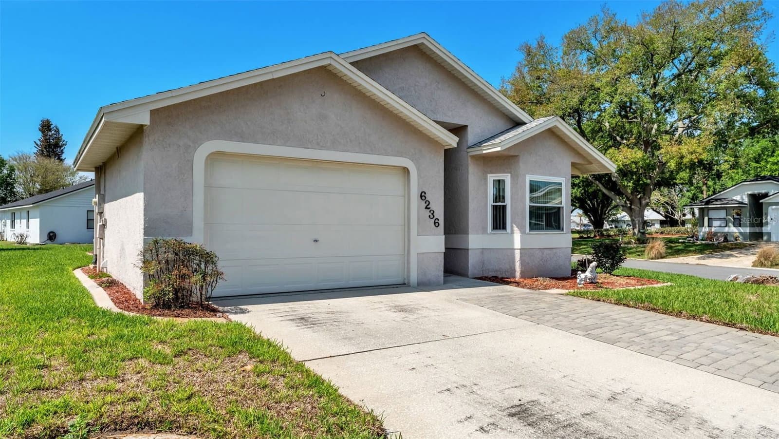 6236 RAVEN