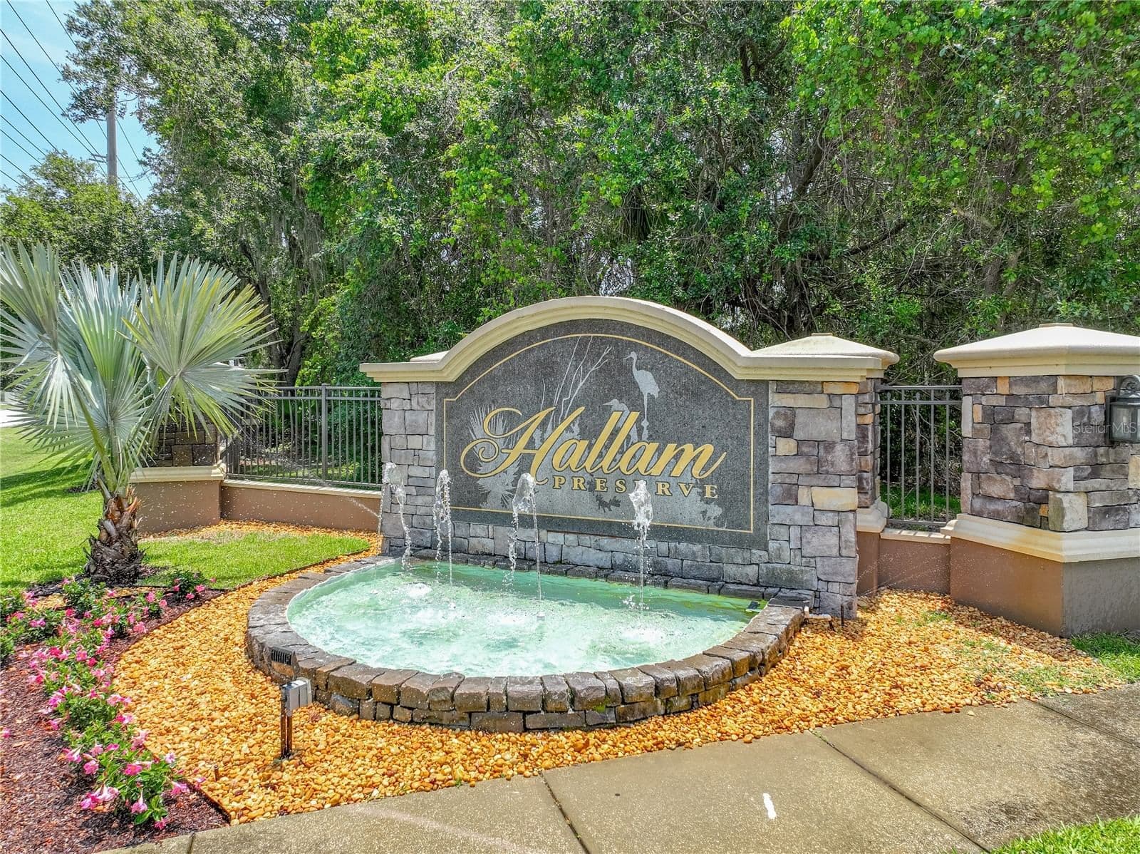 1547 CORDGRASS