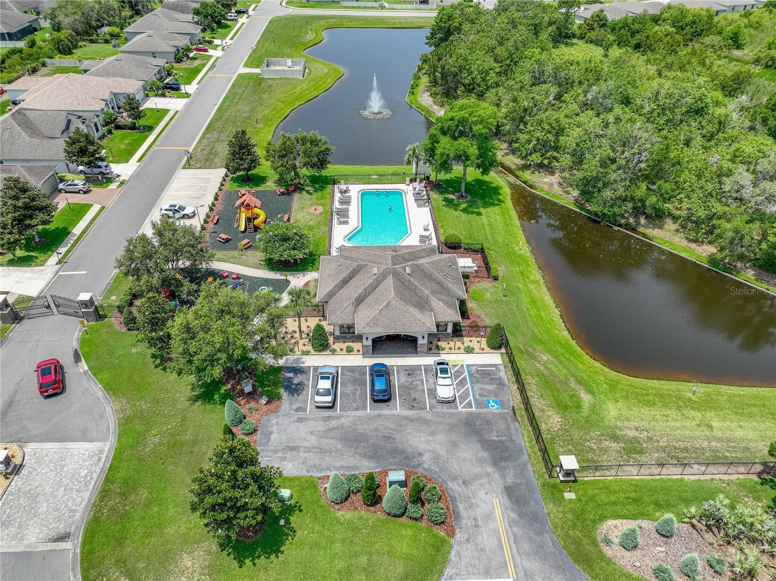 1547 CORDGRASS