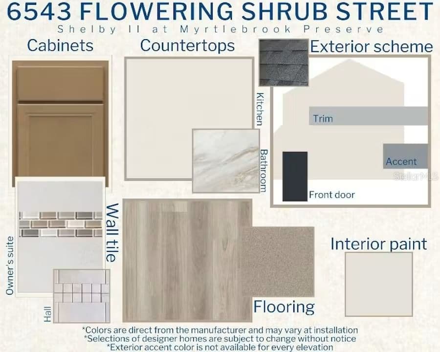 6543 FLOWERING SHRUB