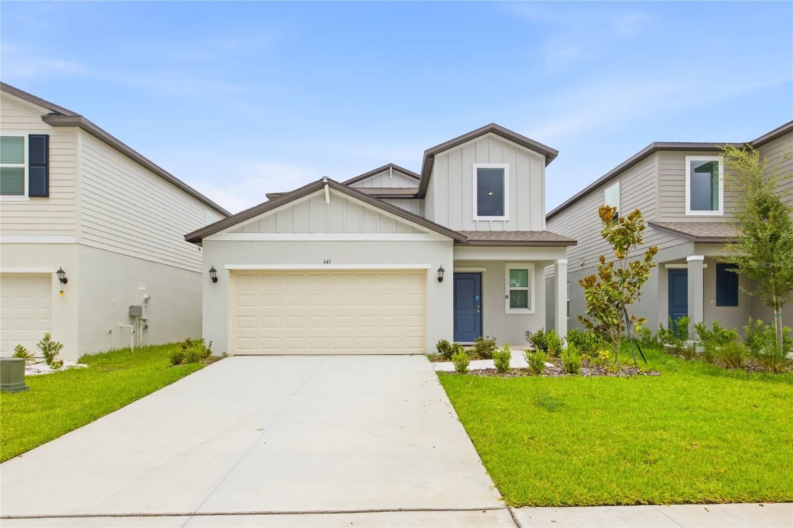 641 BALD CYPRESS