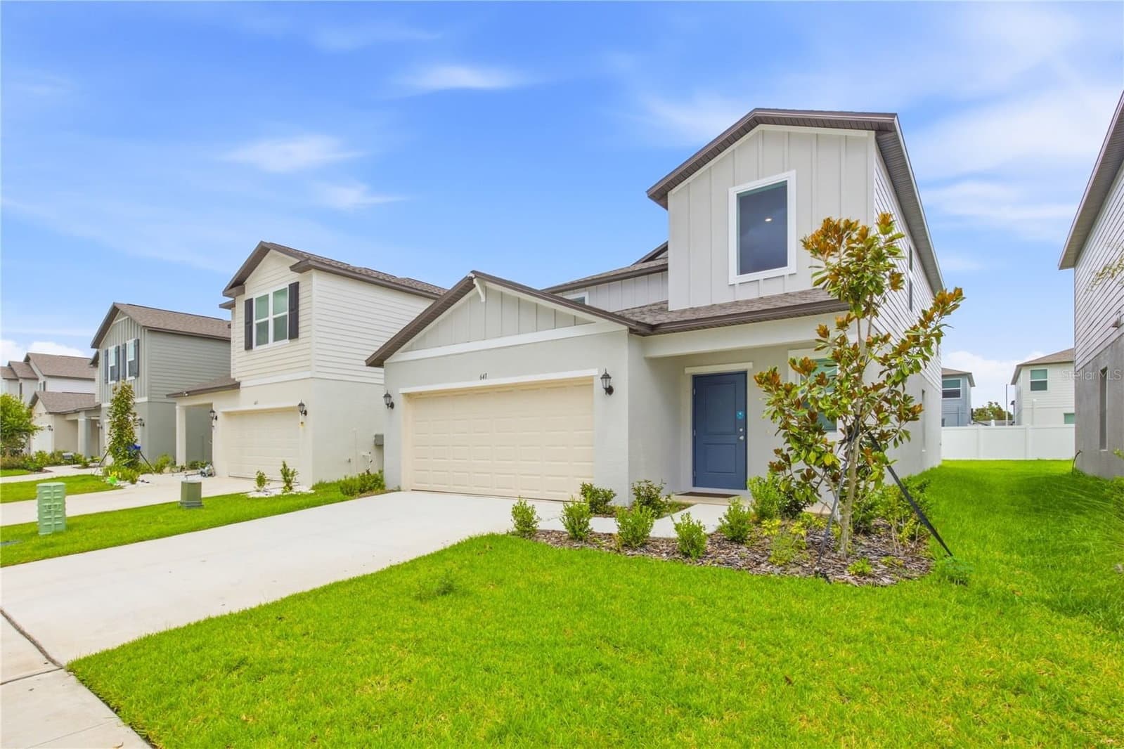641 BALD CYPRESS