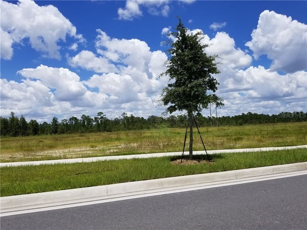 APOPKA VINELAND