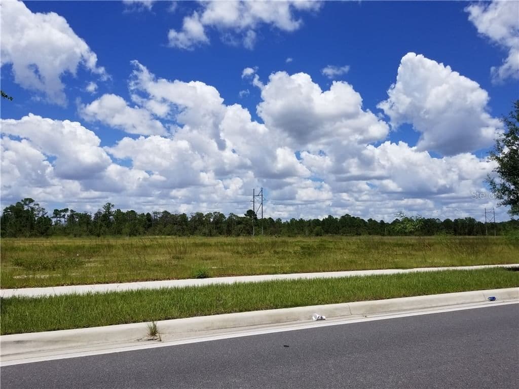 APOPKA VINELAND