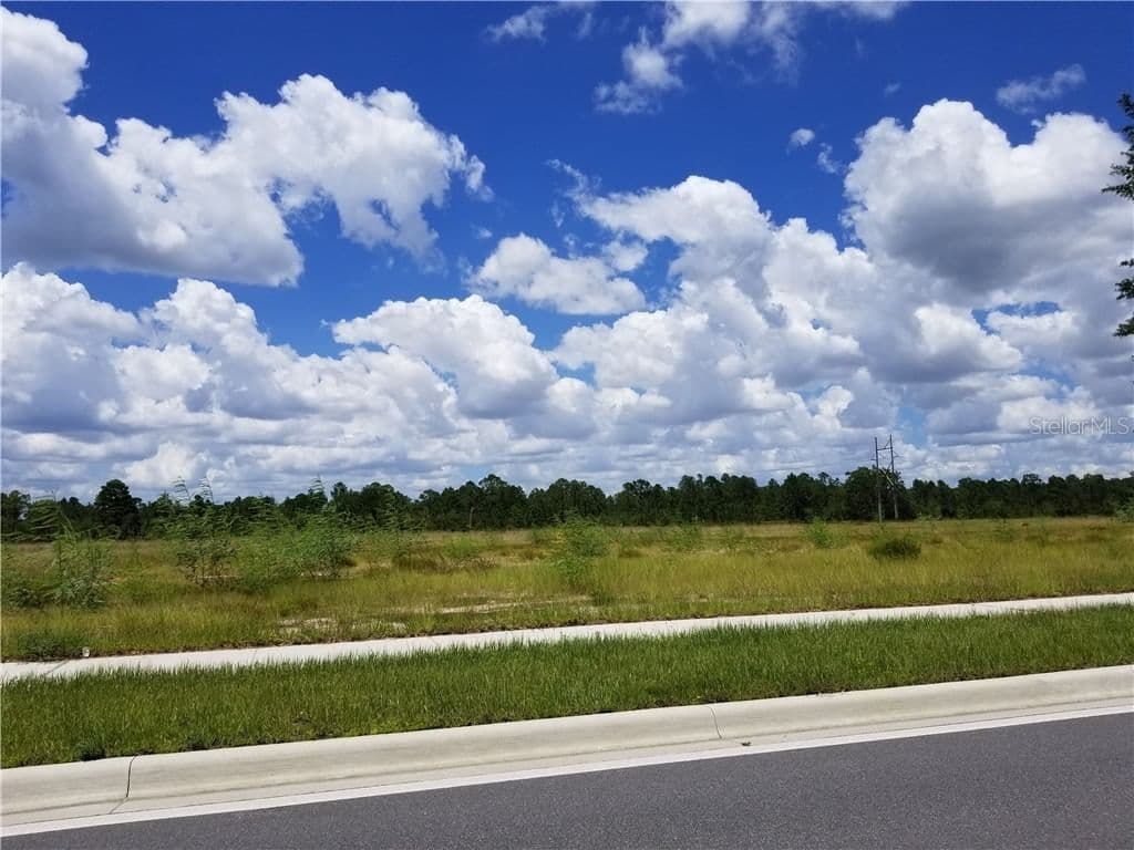 APOPKA VINELAND