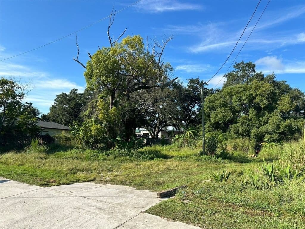 32 PINE HILLS