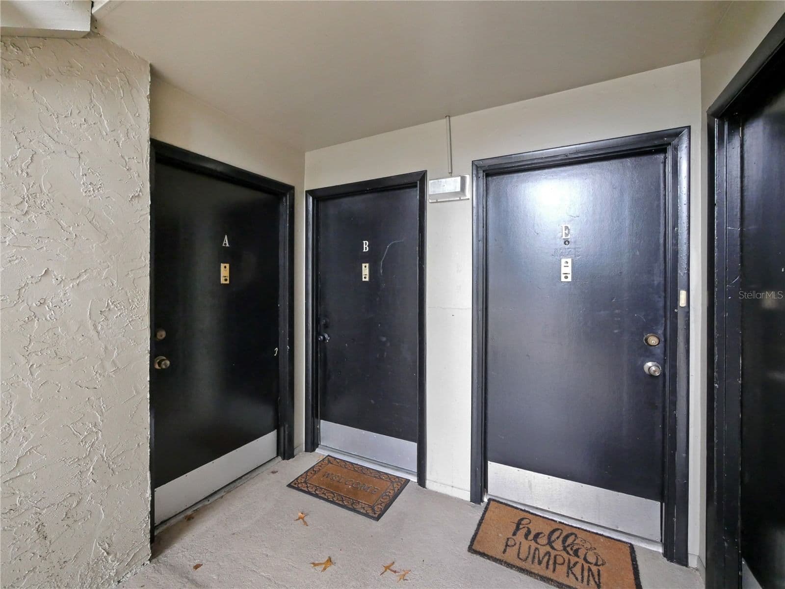 127 SPRINGWOOD