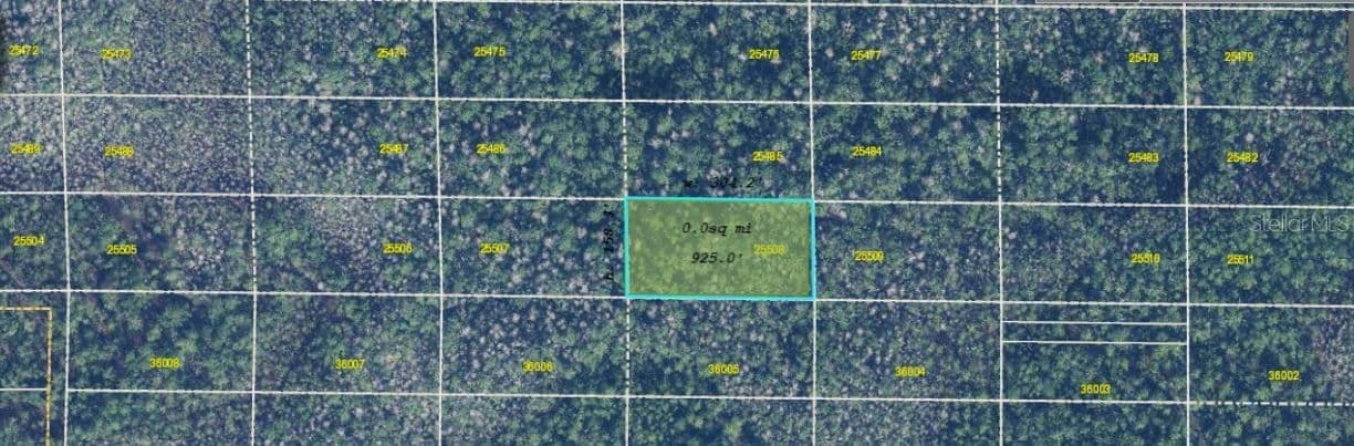 DILL