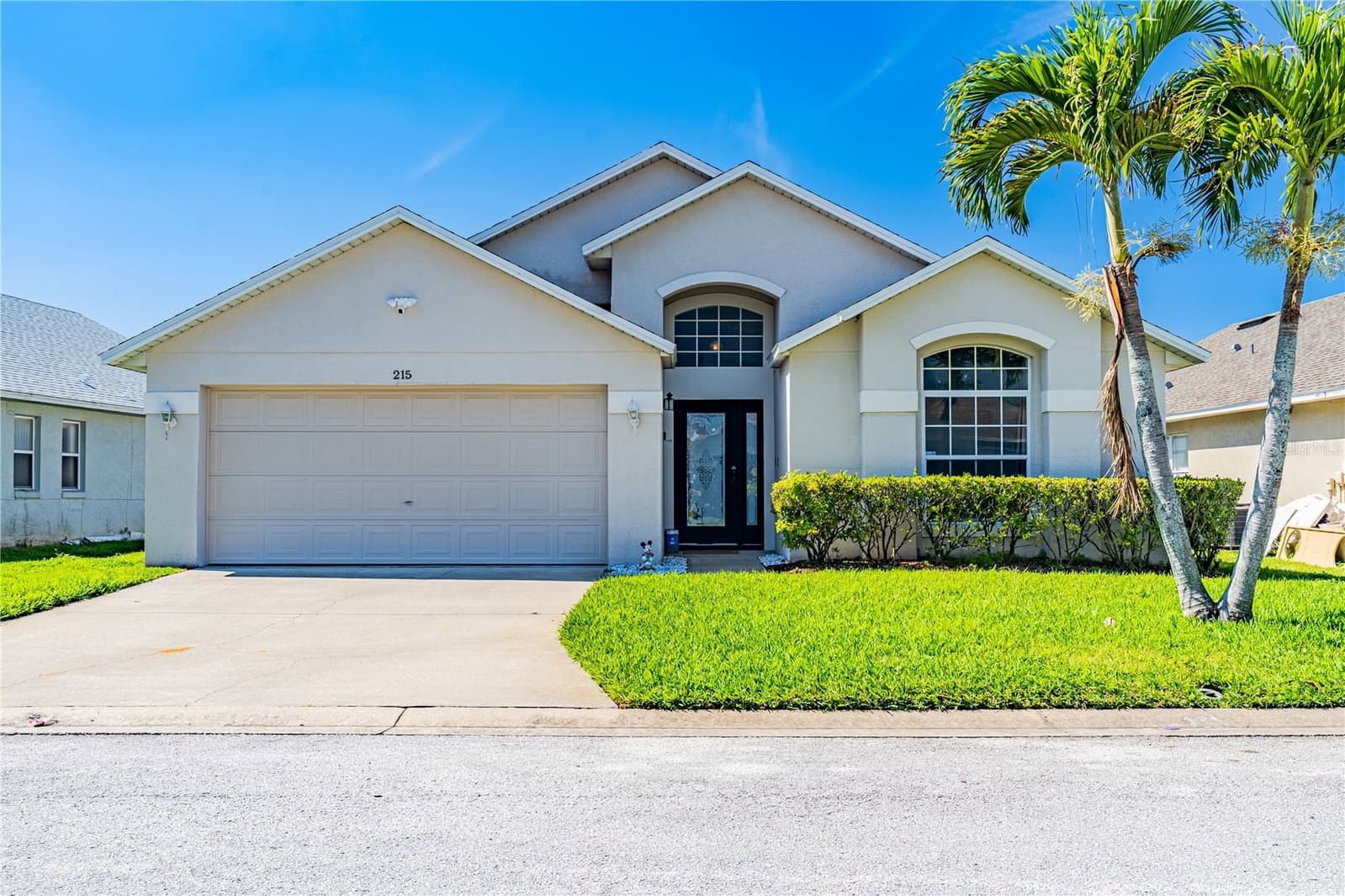 215 ELDERBERRY