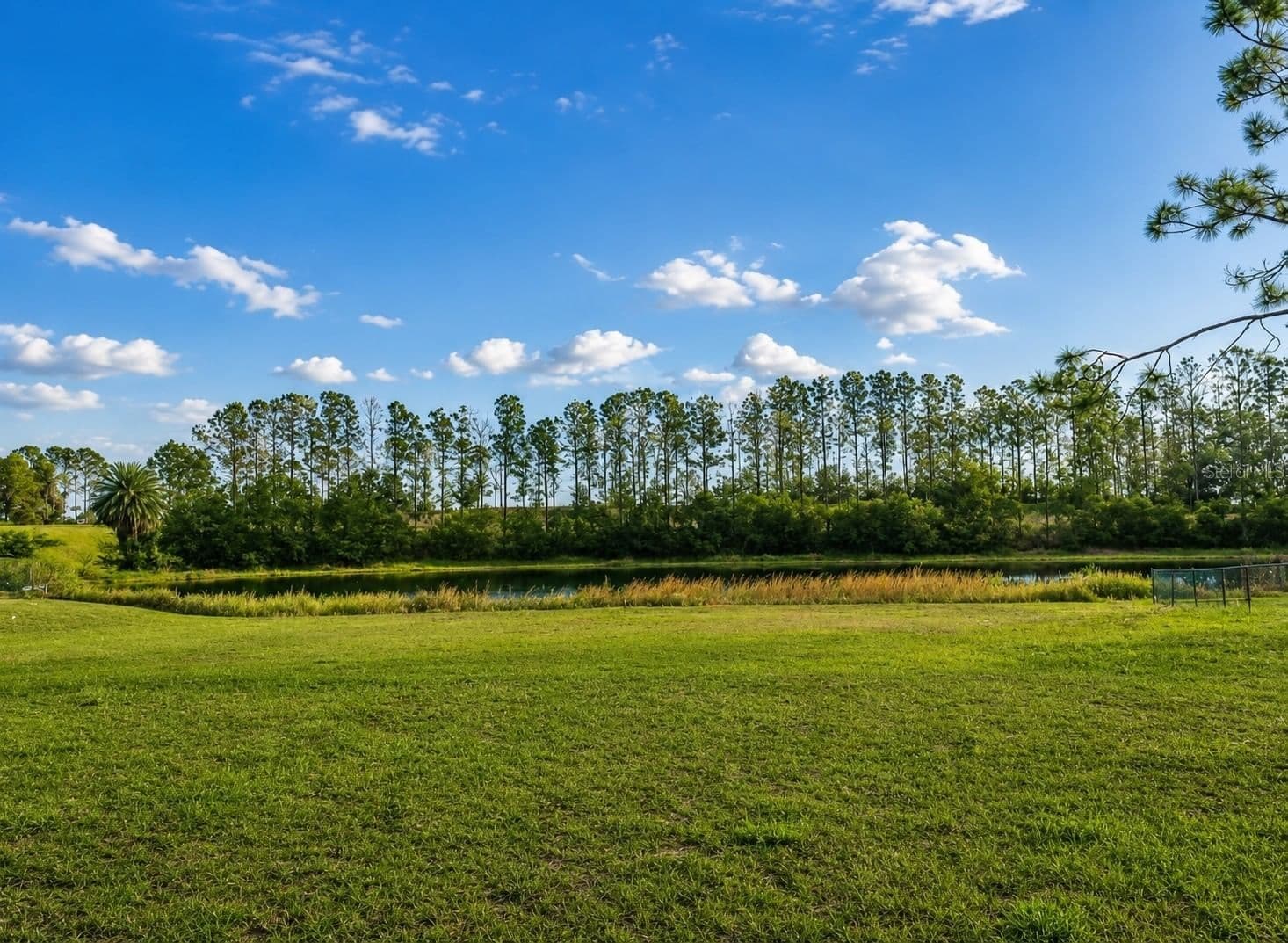 LAKE DENISE