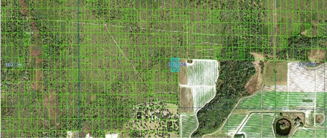 GRAPE HAMMOCK RD