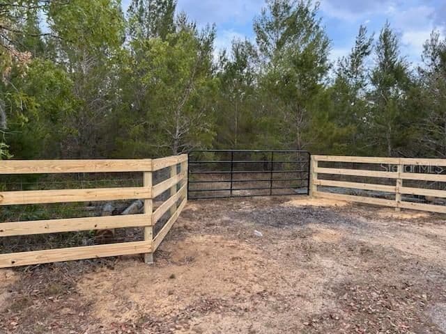 9940 BLACK BEAR