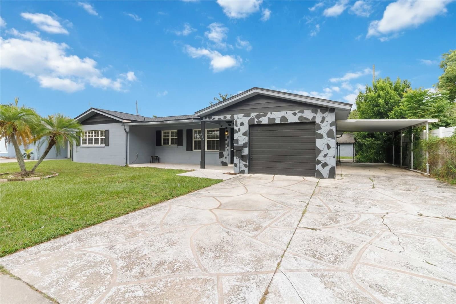 1115 ALDER