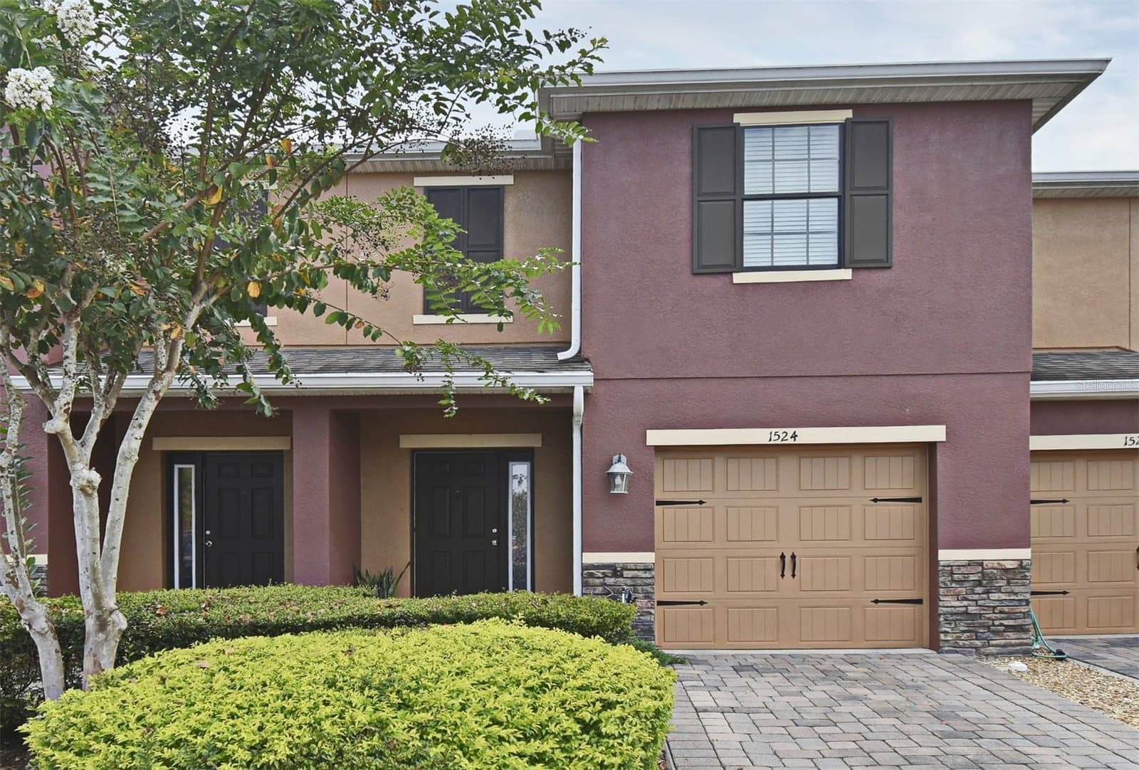 1524 DOWNY BIRCH
