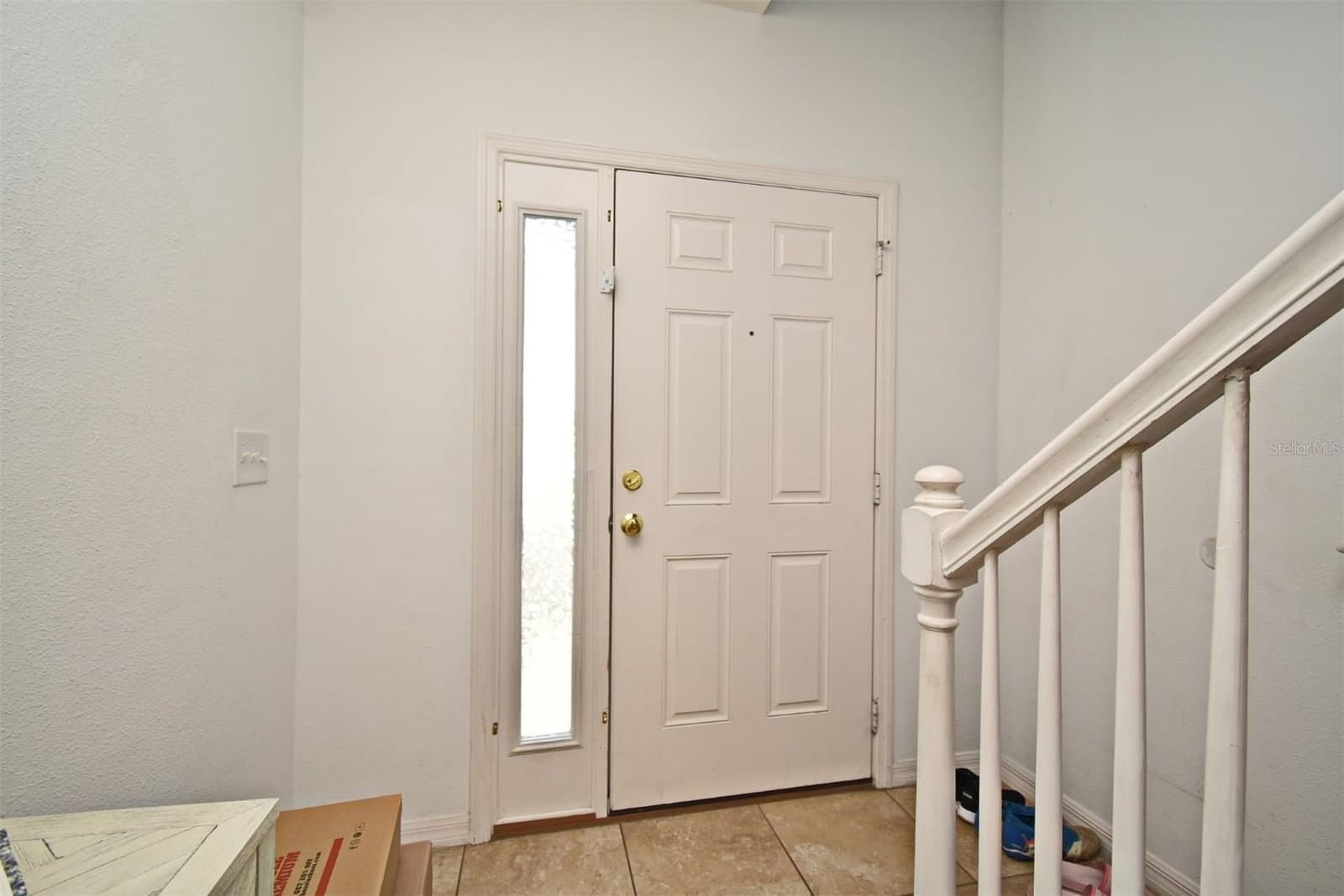 1524 DOWNY BIRCH