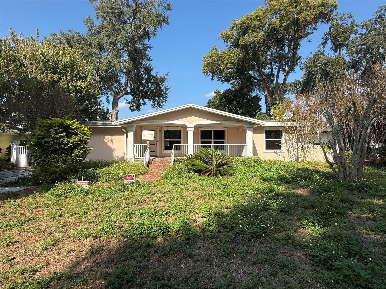 1015 PALM