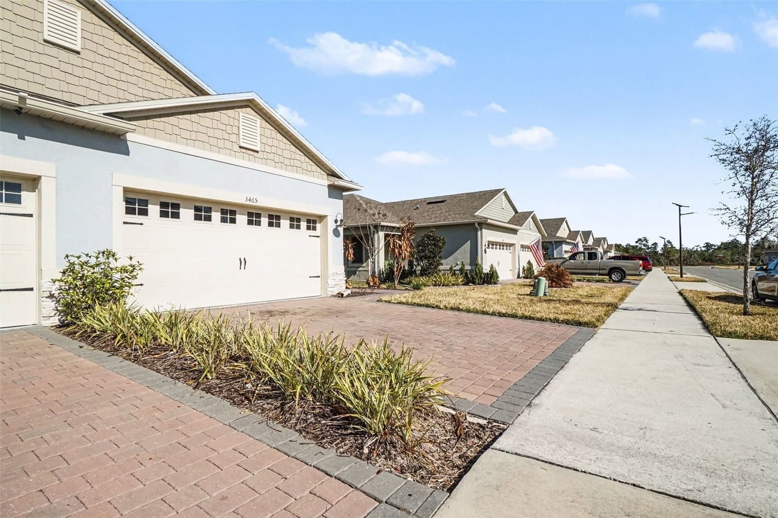 3465 MEADOW BEAUTY