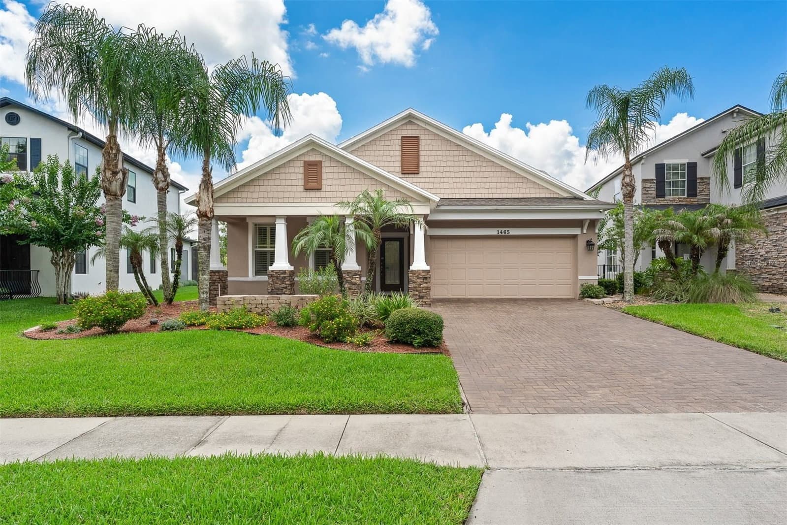 1465 BALSAM WILLOW