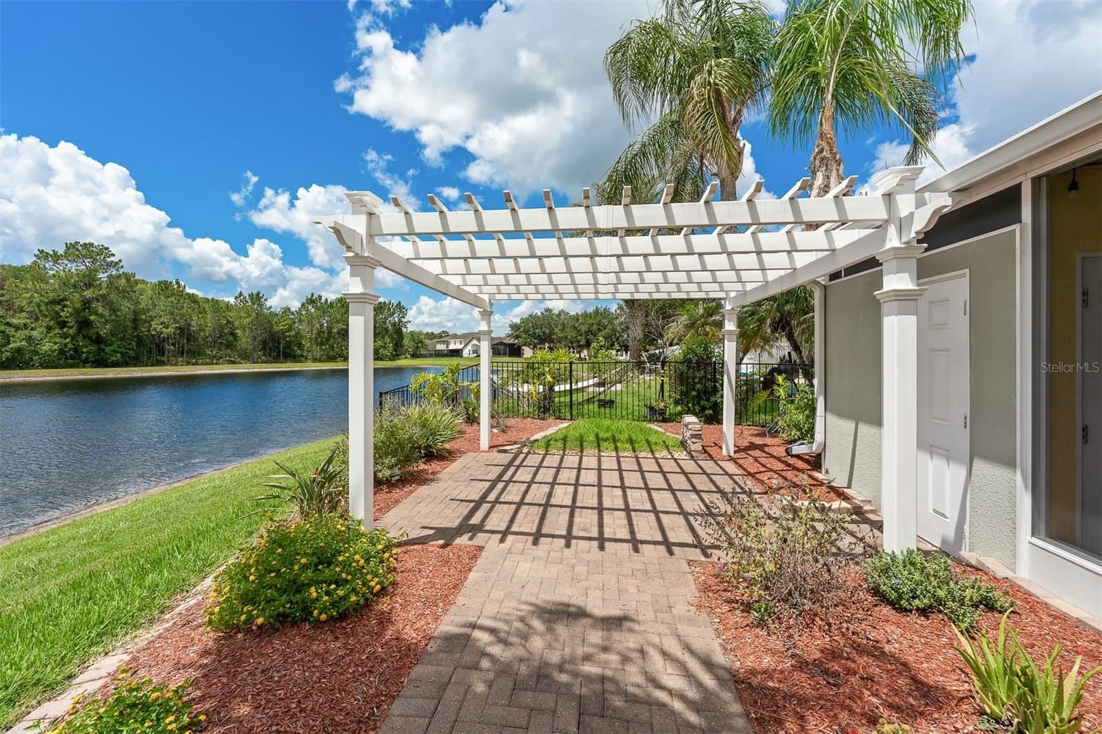1465 BALSAM WILLOW