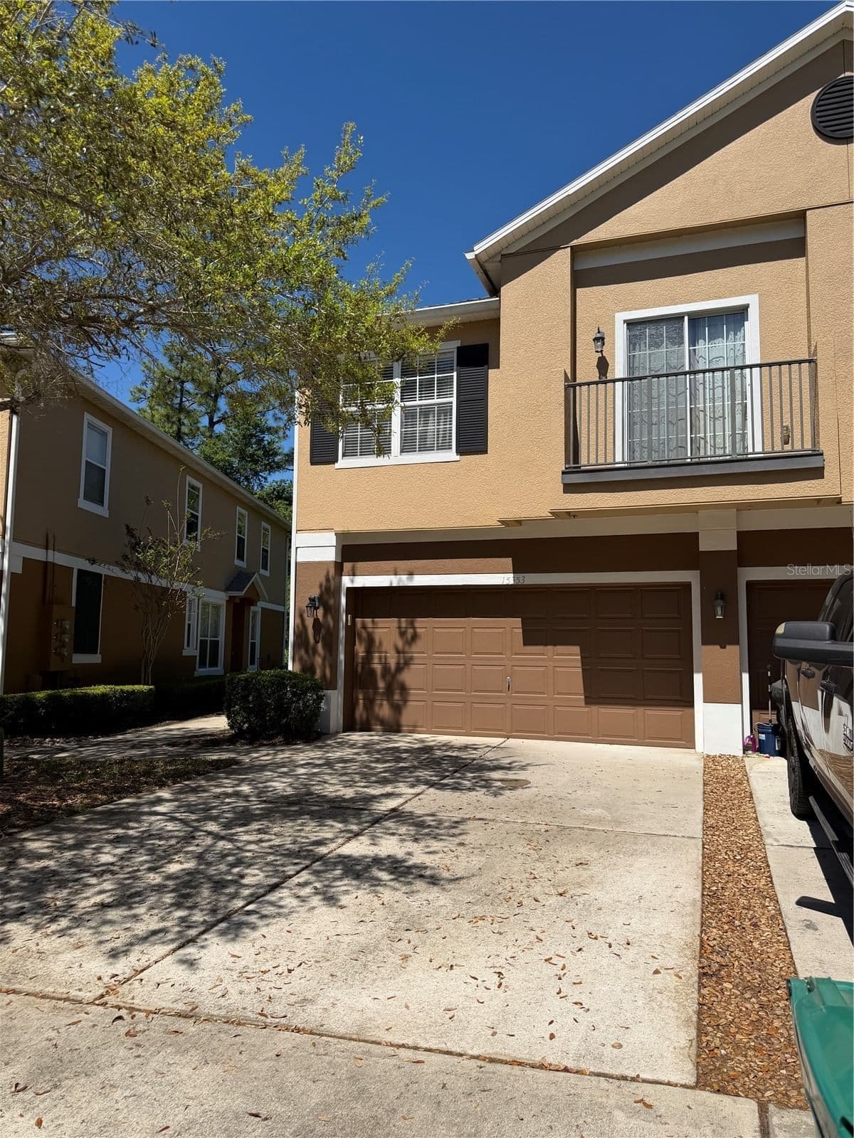 15353 OAK APPLE