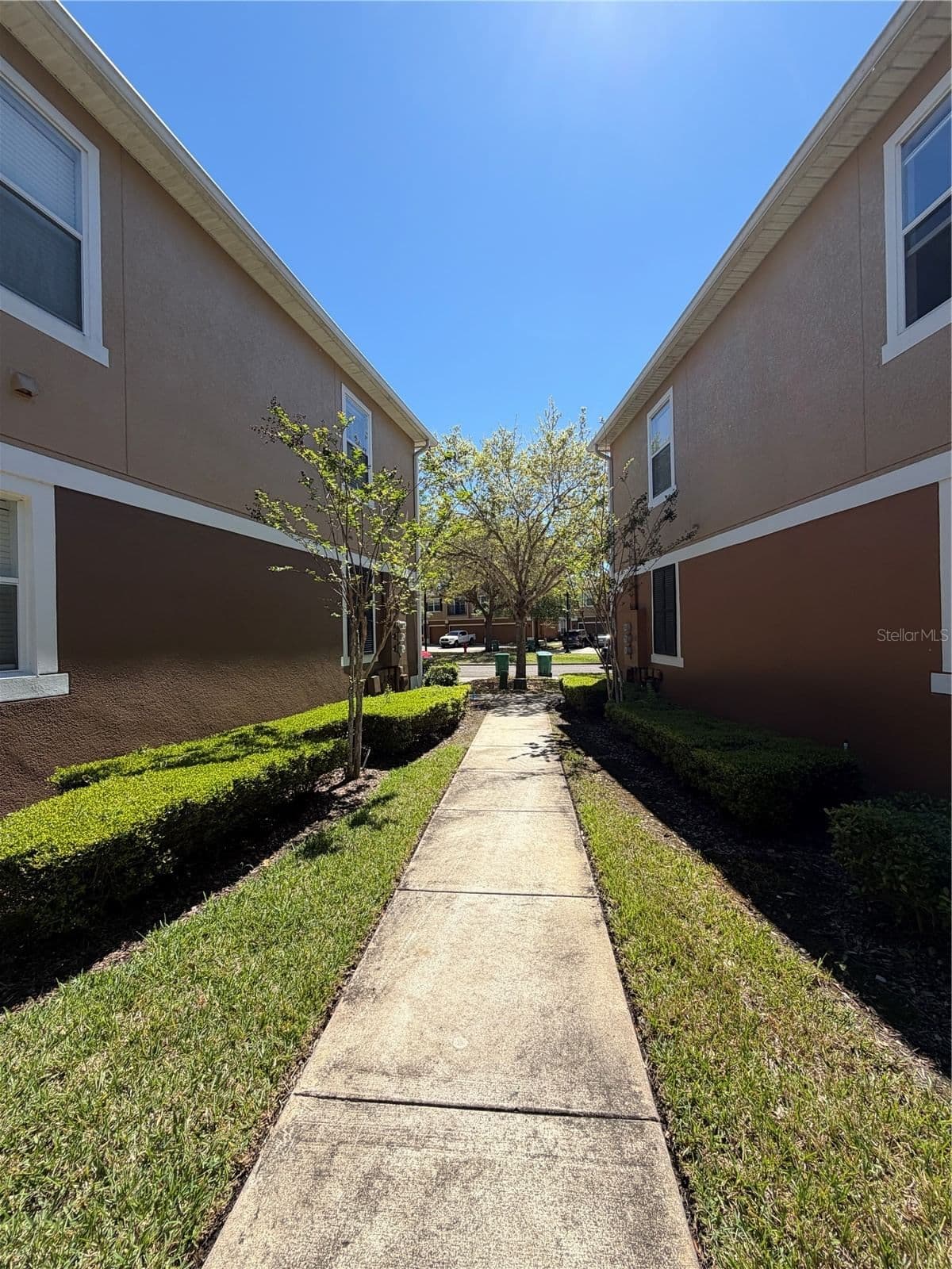 15353 OAK APPLE