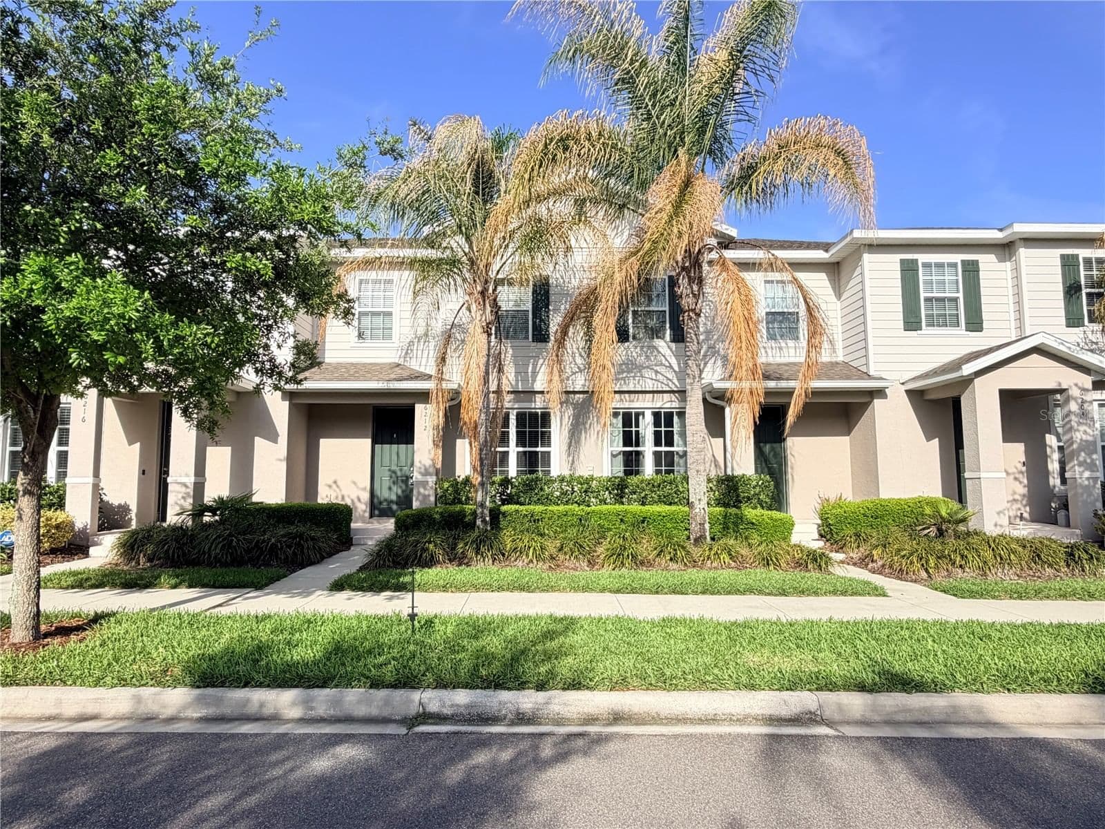6212 ARALIA IVY