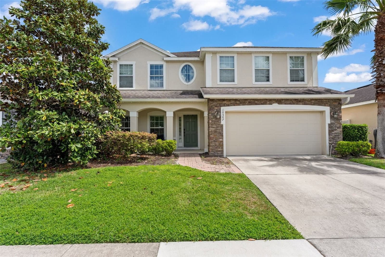 10507 CABBAGE TREE