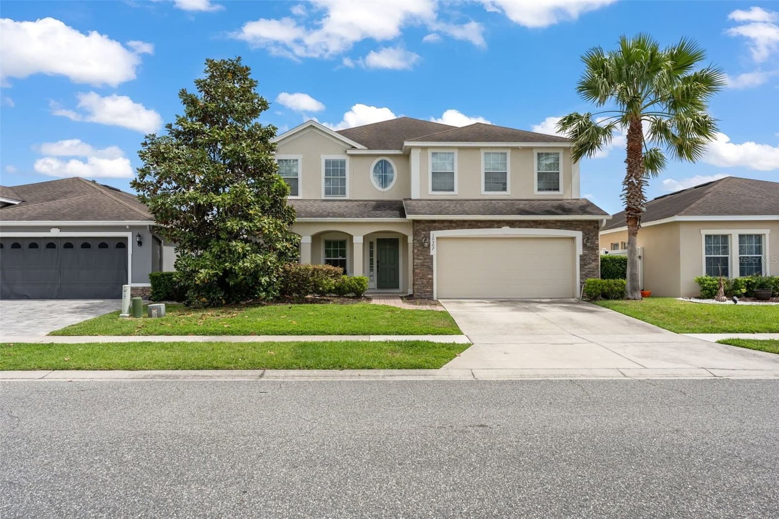 10507 CABBAGE TREE