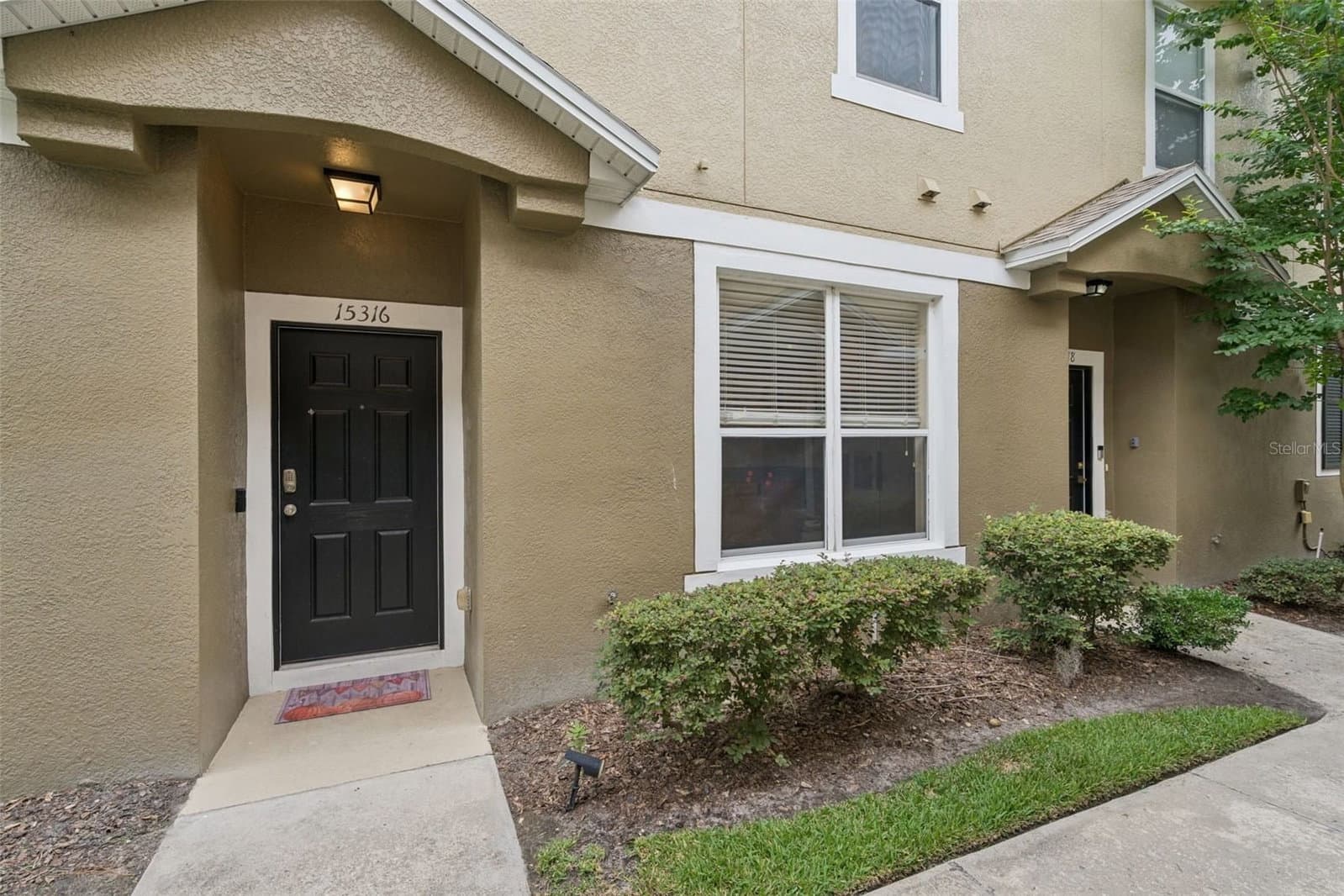 15316 OAK APPLE