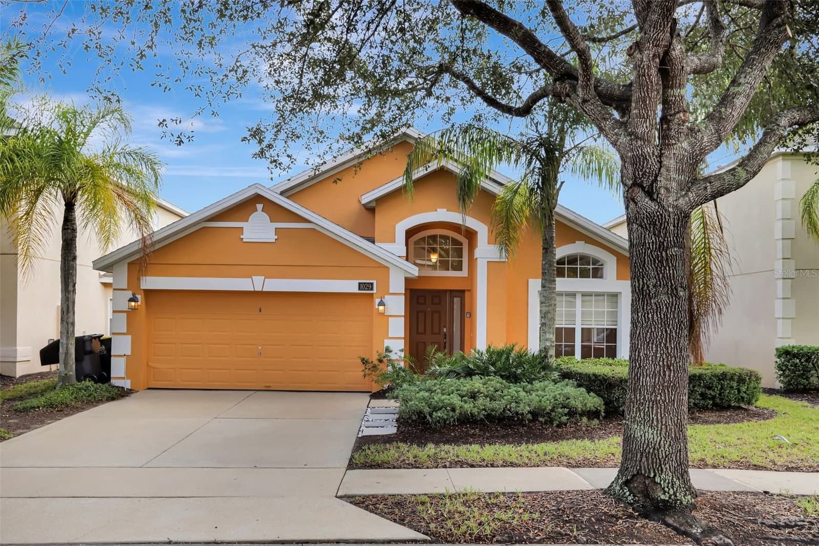 1029 ORANGE COSMOS