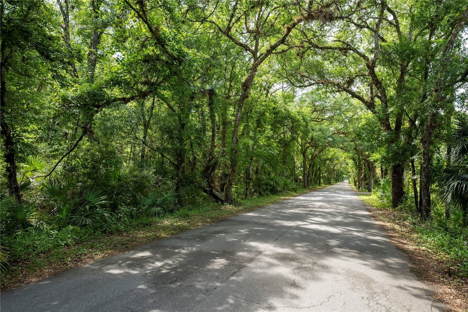 651 COUNTY ROAD 13