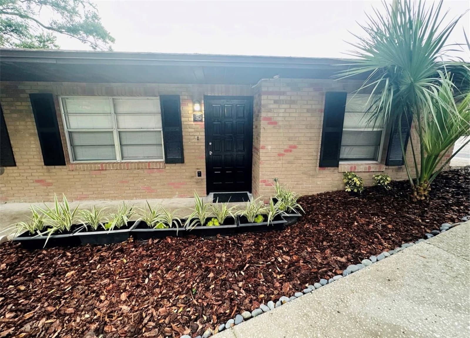 101 LAKE HUNTER