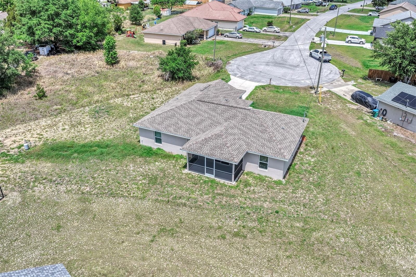 17 CEDAR TREE