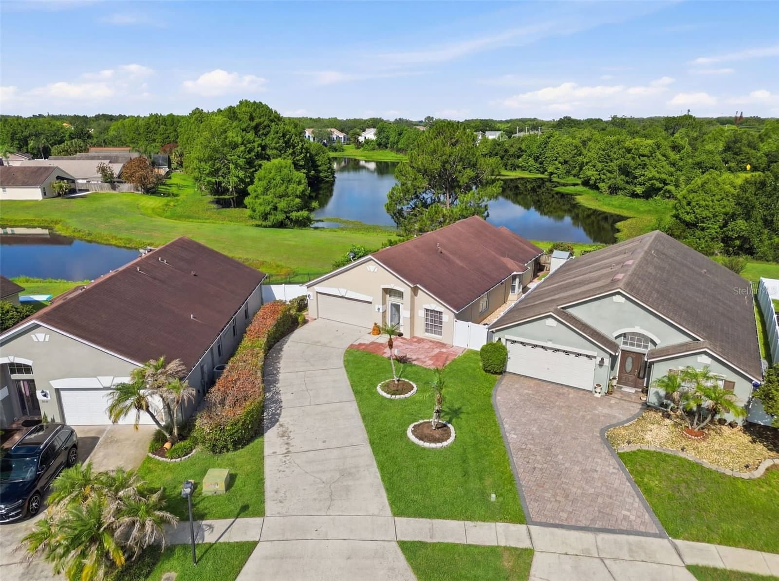 632 CYPRESS TREE