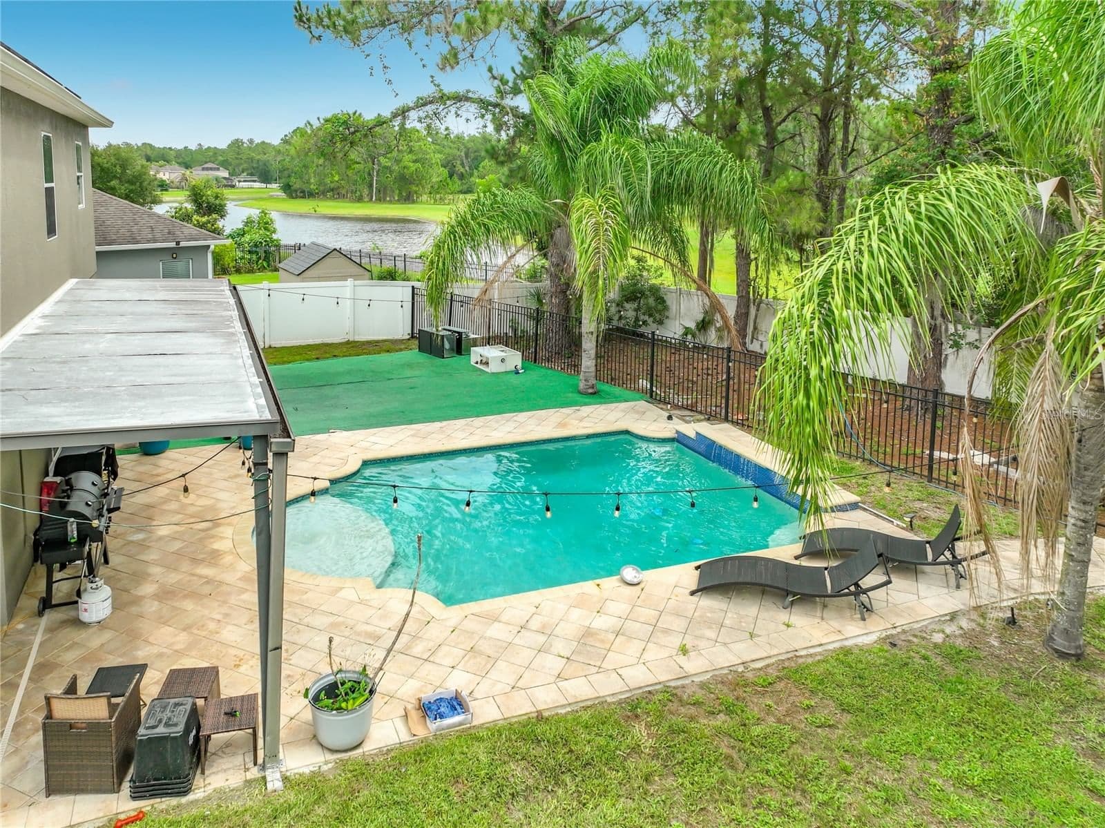 10672 CABBAGE TREE