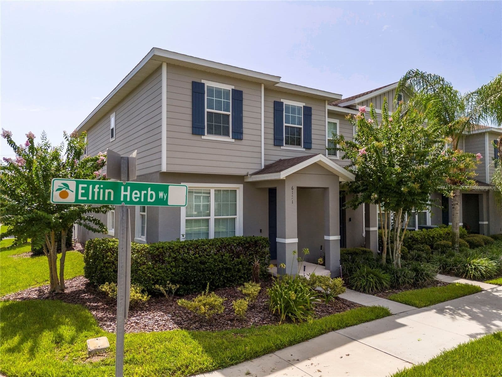 6131 ELFIN HERB