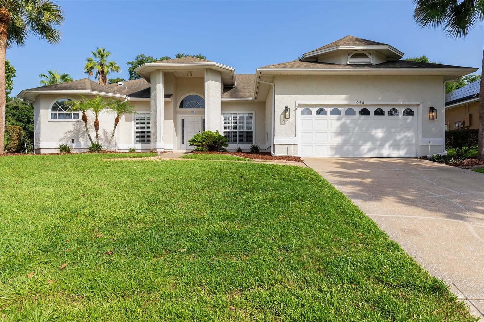 1058 ALMOND TREE