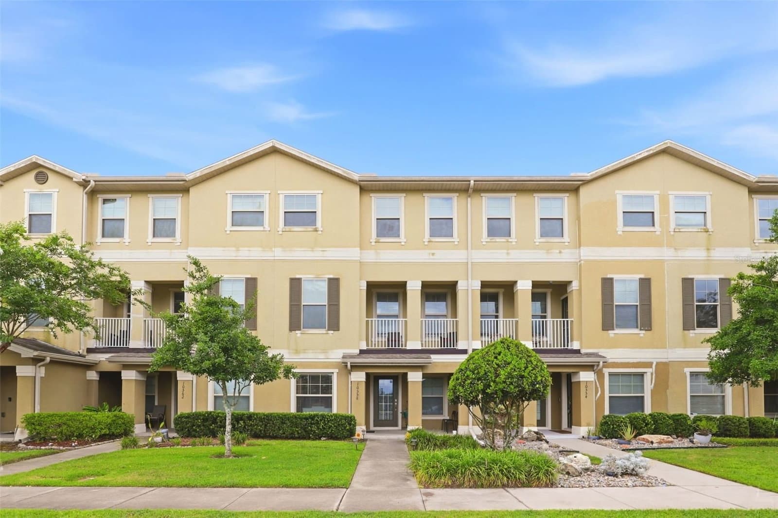 10558 GREEN IVY