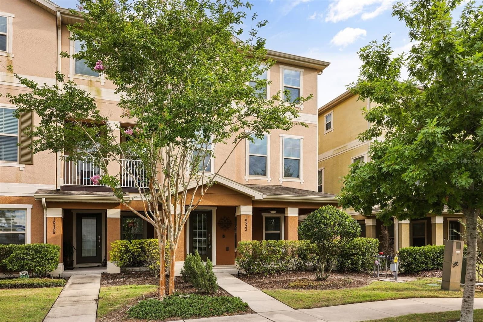 10522 GREEN IVY