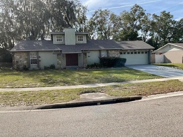 6206 CHINABERRY