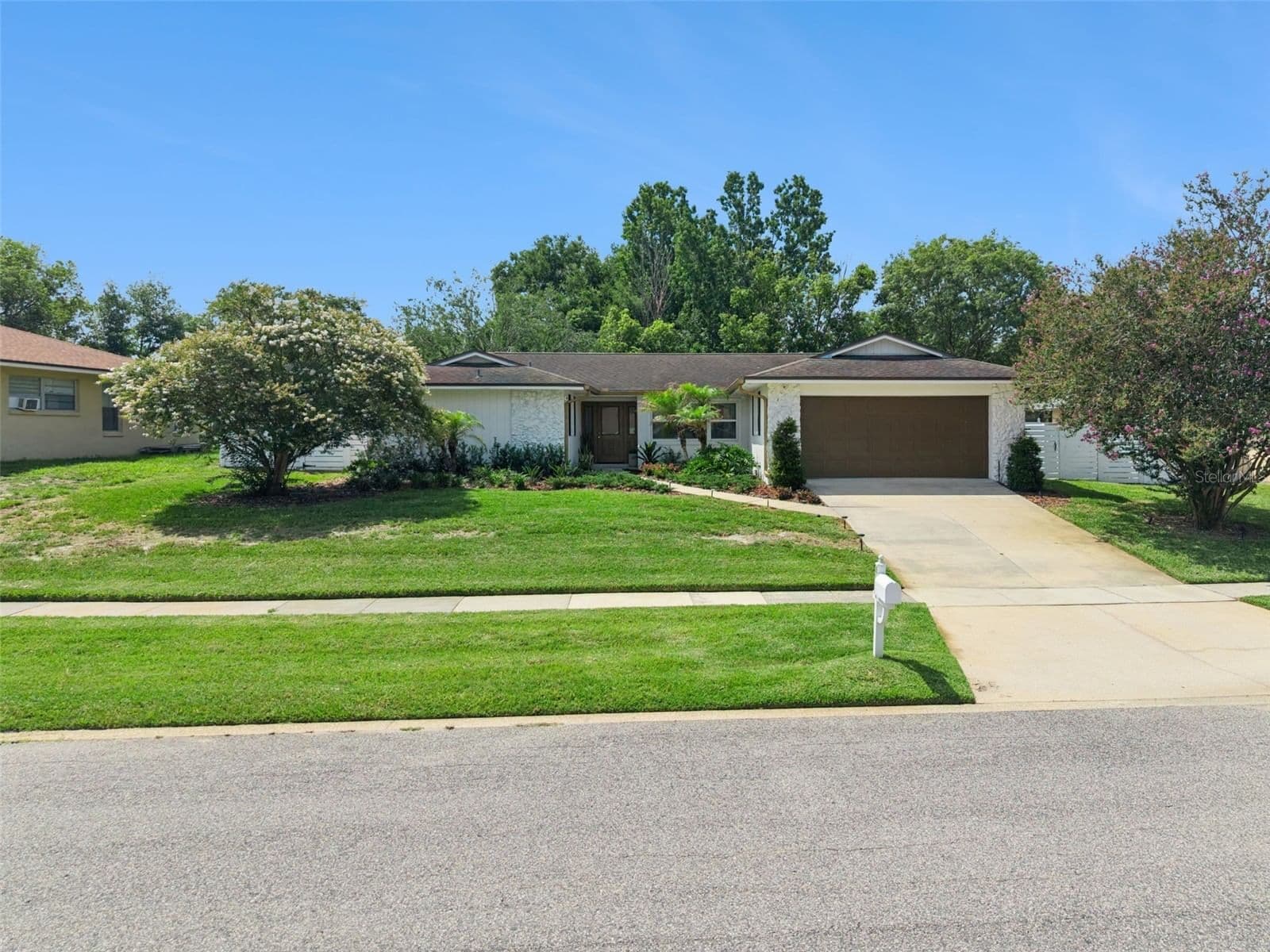 8156 CARAWAY
