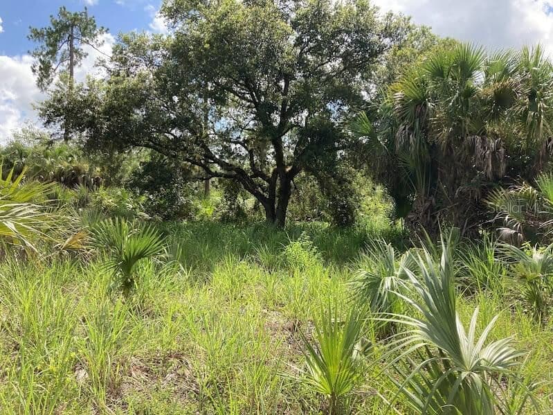 4421 24TH, Naples, FL