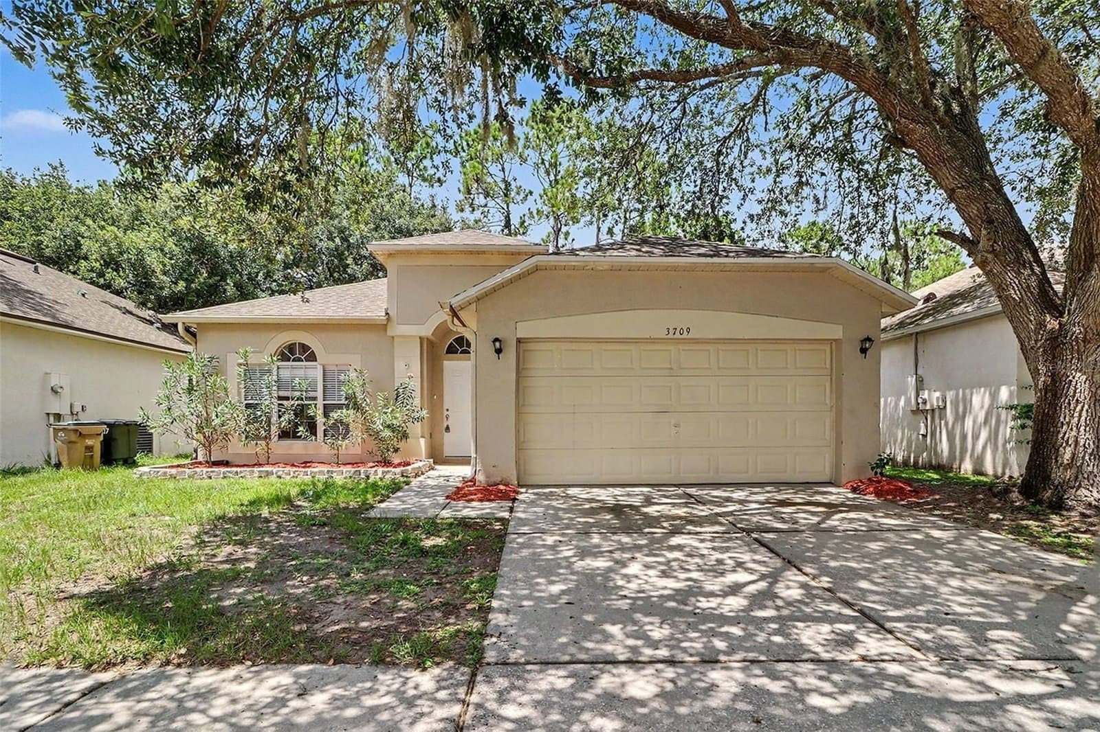 3709 CINNAMON FERN