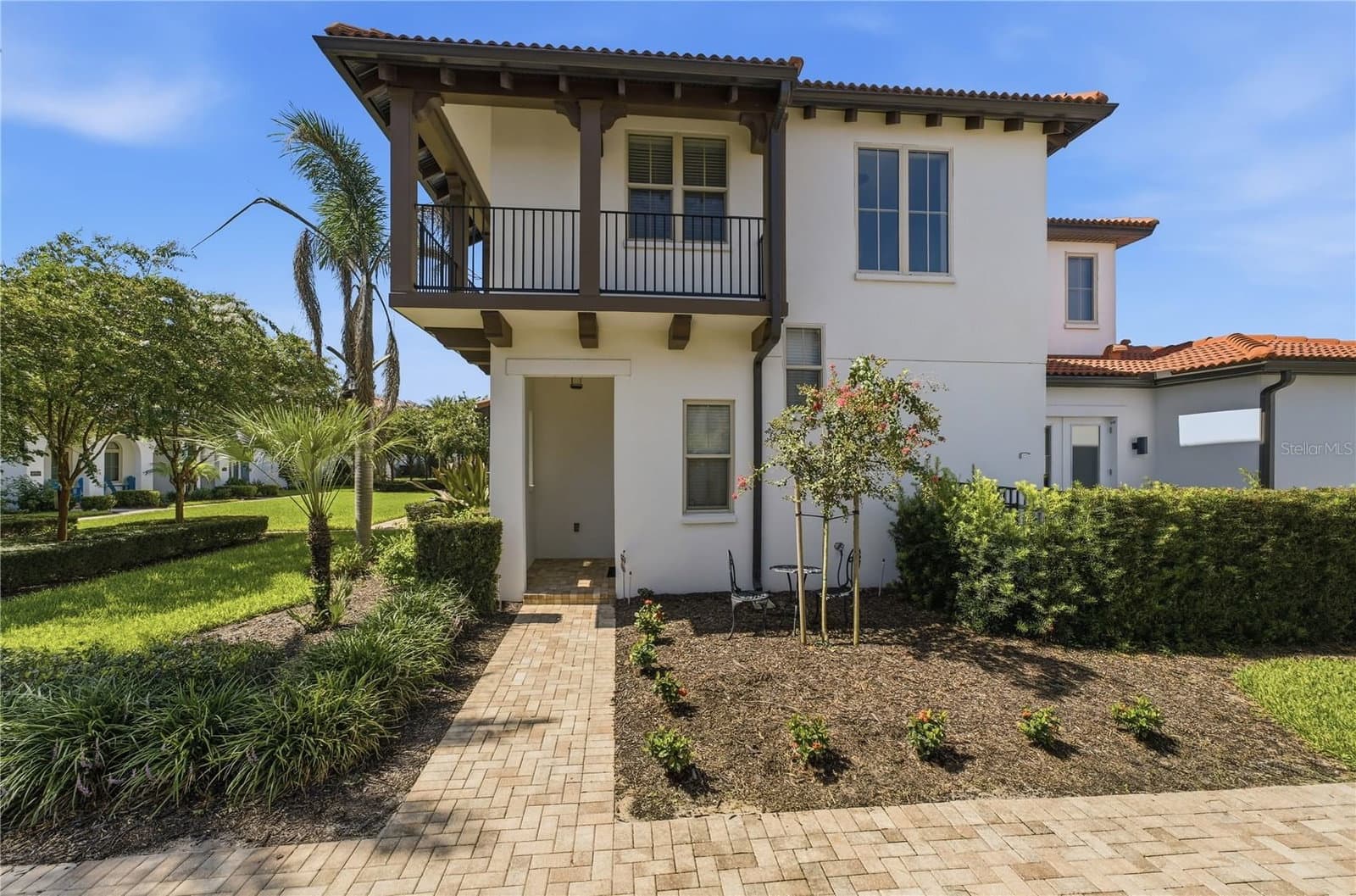 8873 FOUNTAIN PALM