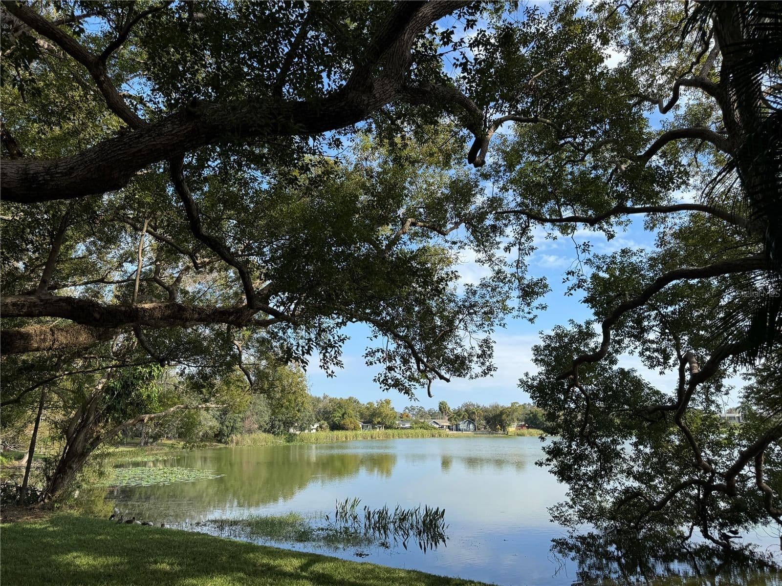 2943 EAGLE LAKE