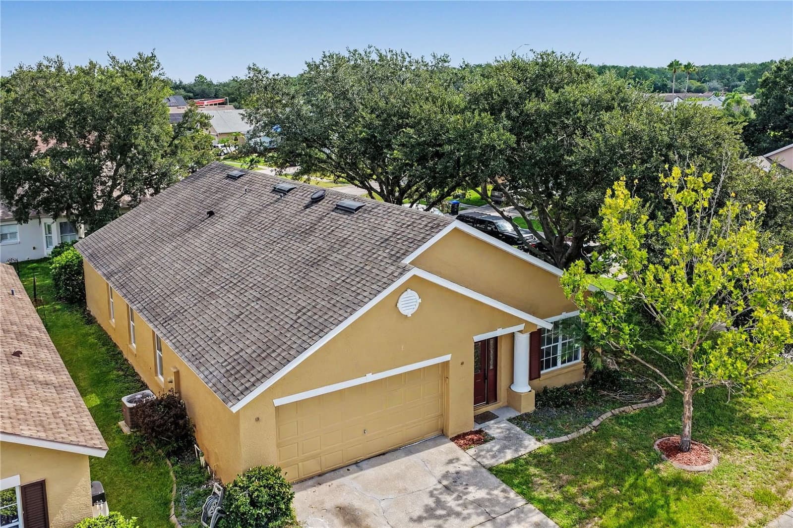 544 CYPRESS TREE