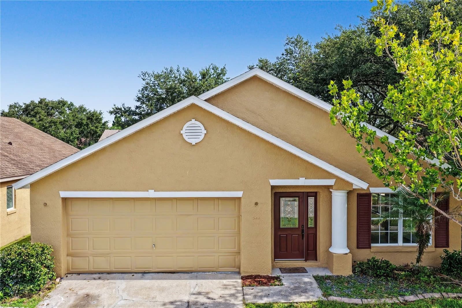 544 CYPRESS TREE